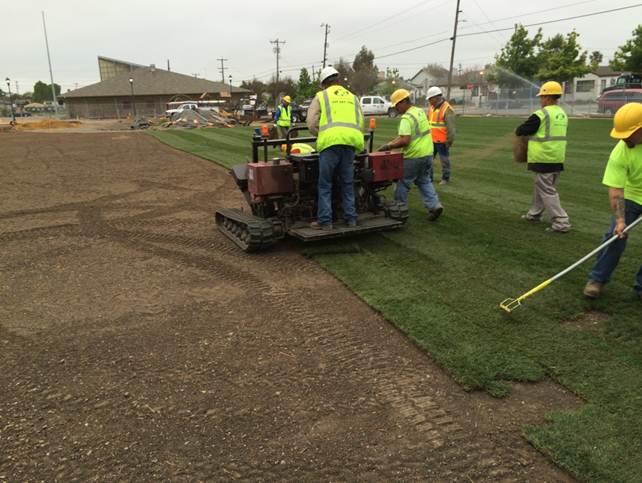 Sod installation